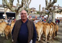 Valeriano Remis, presidente de ASEAMO: “La genética es lo que ha mejorado la raza en estos años”