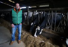 Joaquín Pidal Díaz, de Ganadería Las Escuelas: “Con el precio de la leche ganamos para cubrir gastos”