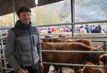 Andrés García, miembro de la Junta Ganadera de Aller: “Los precios se han mantenido estables y las transacciones han marchado bien”