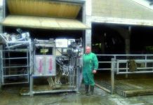 Jesús Suárez Díaz, podólogo bovino: “Con un buen trabajo preventivo las vacas sufren cada vez menos problemas de cojeras”