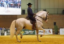 El Campo de Asturias presente en la 26 edición del Salón Internacional del Caballo 2016