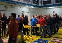 Ayudas a 15 proyectos de acción costera