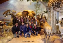 “En caza menor la perdiz es la reina del coto”