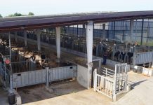 “Los toros de ASCOL ocupan lugares destacados en el ámbito internacional”