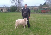 “Nuestro objetivo es potenciar la marca Corderu Xaldu para dar seguridad al consumidor”