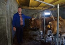 Ganadería Molina (Marentes): “Siempre me gustaron más las viñas que las vacas”