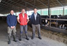 Ganadería Chaca Otur S.C.: “El trabajo es el mismo, pero con la sociedad tenemos más calidad de vida”