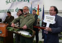 As de Picas apuesta por el Campanu de Asturias