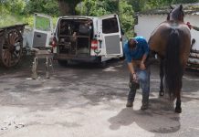 “Como jinete, entrenador y profesional de herraje tengo más conocimiento en caballos de Raid”