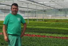 “Somos los mayores productores de planta agrícola de Asturias y los segundos en producción hortícola de la zona norte”
