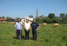 Carmen Moriyón: “La Feria de San Antonio es el homenaje que la ciudad de Gijón rinde a su zona rural”