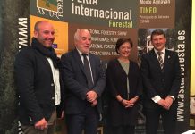 Tineo acogerá en el monte Armayán Asturforesta, la cita del sector forestal