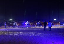 La Feria de San Antonio de Gijón se afianza