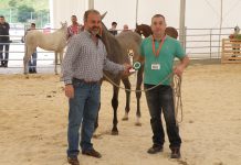 “En Tineo el mundo del caballo cuenta con muchos aficionados”