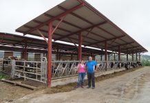 Ganadería Casa Manolón: “El manejo y una buena alimentación influyen en el funcionamiento de la ganadería”