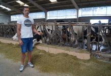 Ganadería Gafeiro (Castropol): “Con la mezcla húmeda nuestra media de producción es 37 litros por vaca y día”