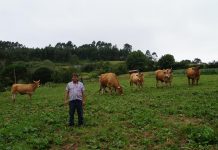 Manuel Fdez.: «Hay que apostar por lo tradicional”