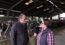 Entrevista a Alfonso Fernández de Ganadería La Corona (Gozón)