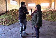 Entrevista a Arturo González Cortés