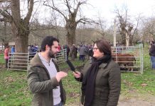Entrevista a Gonzalo Suero, teniente de alcalde de Cangas de Onís