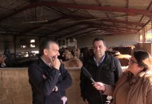 Entrevista a Panero de Cebadero El Rancho y Martín de Agroclaudio