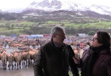 Entrevista a Ramón Fernández, alcalde de Proaza