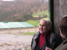 Yeguada Albeitar, ejemplo de diversificación