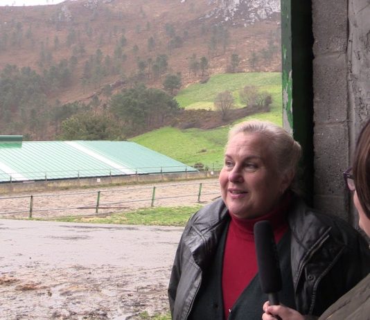 Yeguada Albeitar, ejemplo de diversificación