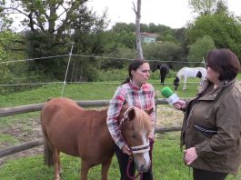 Entrevista a Ana Riestra, monitora del Centro Deportivo El Forcón