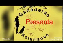 Ganaderas Asturianas