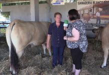Entrevista a María Amor Rodríguez, de Ganadería Blanco Rodríguez de Gozón