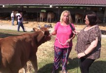 Entrevista a María José Molleda de Ganadería Hermanos Díaz