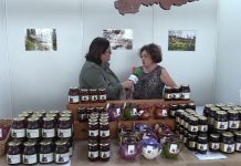 Entrevista a Martina Arandojo, de Miel Bosqueastur