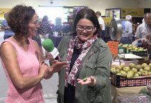 Entrevista María Bustillo, productora de minkiwi ecológico en su finca de Siero