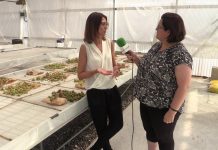 Entrevista a Ana Campa del programa de Genética Vegetal del SERIDA