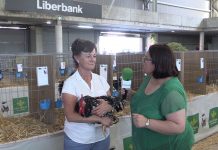 Entrevista a Luisa Pardo, criadora de Pita Pinta Asturiana