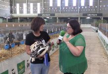 Entrevista a Mari Valella, criadora de Pita Pinta Asturiana