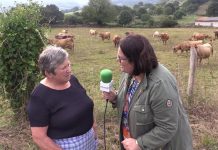 Entrevista a Encarnita García, de La Barrosa (Salas)