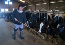 De profesión, ganadera