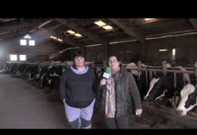 Entrevista a Cecilia Álvarez, ganadera de La Espina