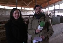 Entrevista a Alexandra Angel, ganadera de Las Regueras