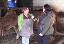 Entrevista a Benjamina González, ganadera de Santa Cruz (Llanera)