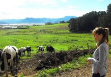 FADEMUR: “el abandono de la Ley de Titularidad Compartida causa desigualdad laboral en el mundo rural”