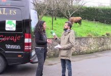 Entrevista a Elena Cebada, gerente de la IGP Ternera Asturiana