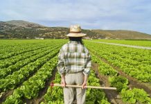 El Consejo de Ministros aprueba las bases reguladoras de subvenciones para entidades de mujeres rurales