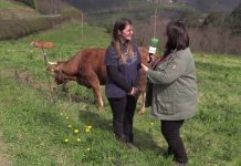Entrevista a Patricia García, una joven ganadera en La Fenosa (Cudillero)