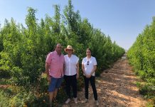 “El Decenio de la Agricultura Familiar debe escribirse en femenino”