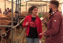 Entrevista a Laura Martínez, una joven ganadera de Vioño ( Gozón)