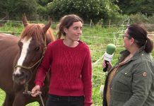 Entrevista a Melisa Herrero, gerente del Centro Hípico Hispania