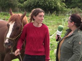 Entrevista a Melisa Herrero, gerente del Centro Hípico Hispania